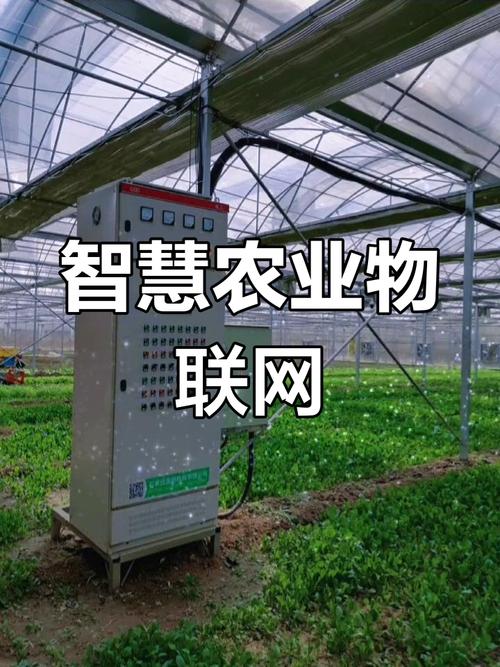 物联网科技助力石家庄栾城区农林科技园区实现智慧农业新跨越